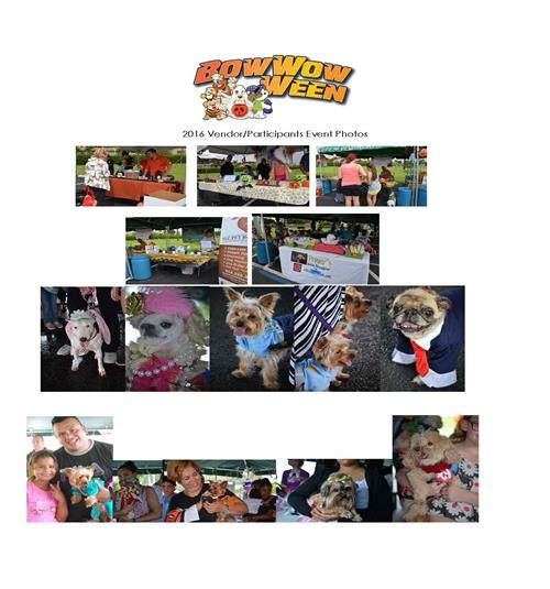Collage of various dogs in costume